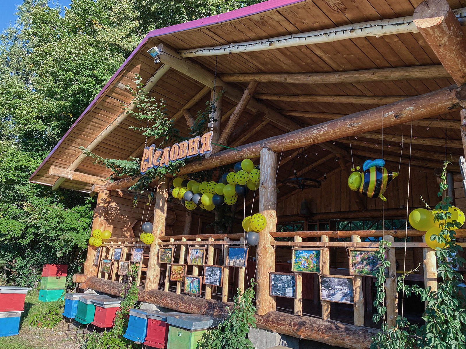 Ульи на пасеке в Нижнекаянче